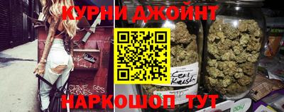 гидра Дмитров
