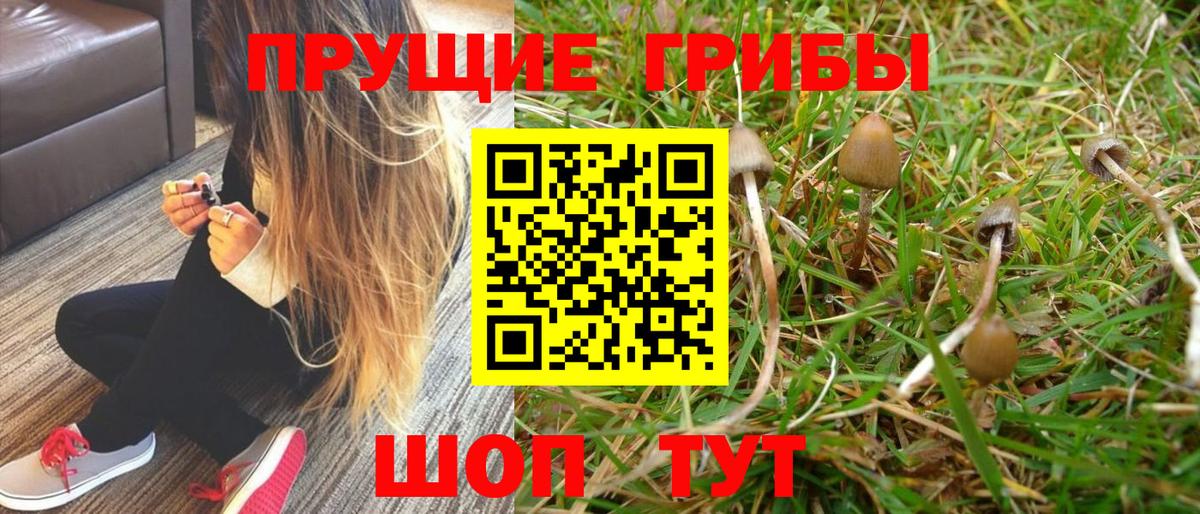 Галлюциногенные грибы GOLDEN TEACHER Аша