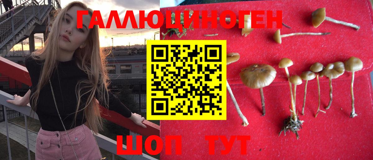 Псилоцибиновые грибы ЛСД Аша