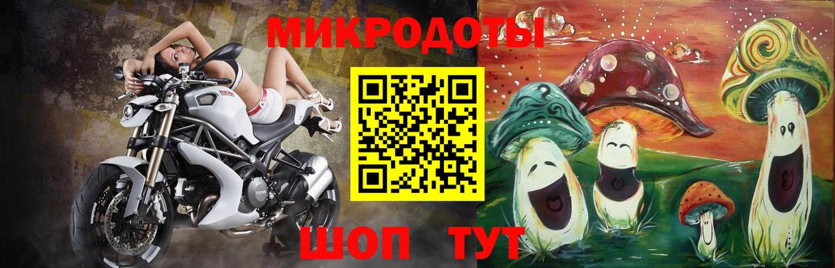 где можно купить   Аша  Галлюциногенные грибы MAGIC MUSHROOMS 